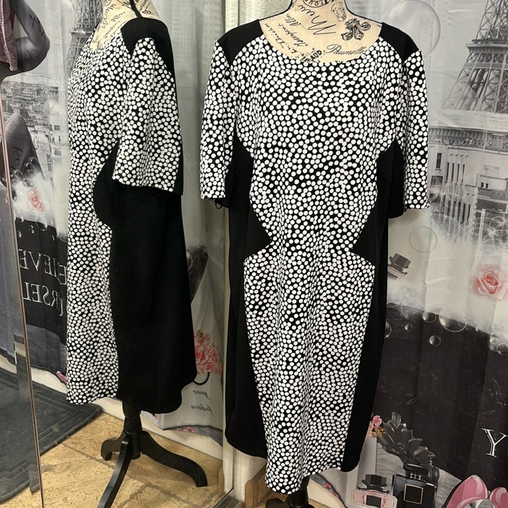 Gabby Sky Black and White Polka Dot Dress
